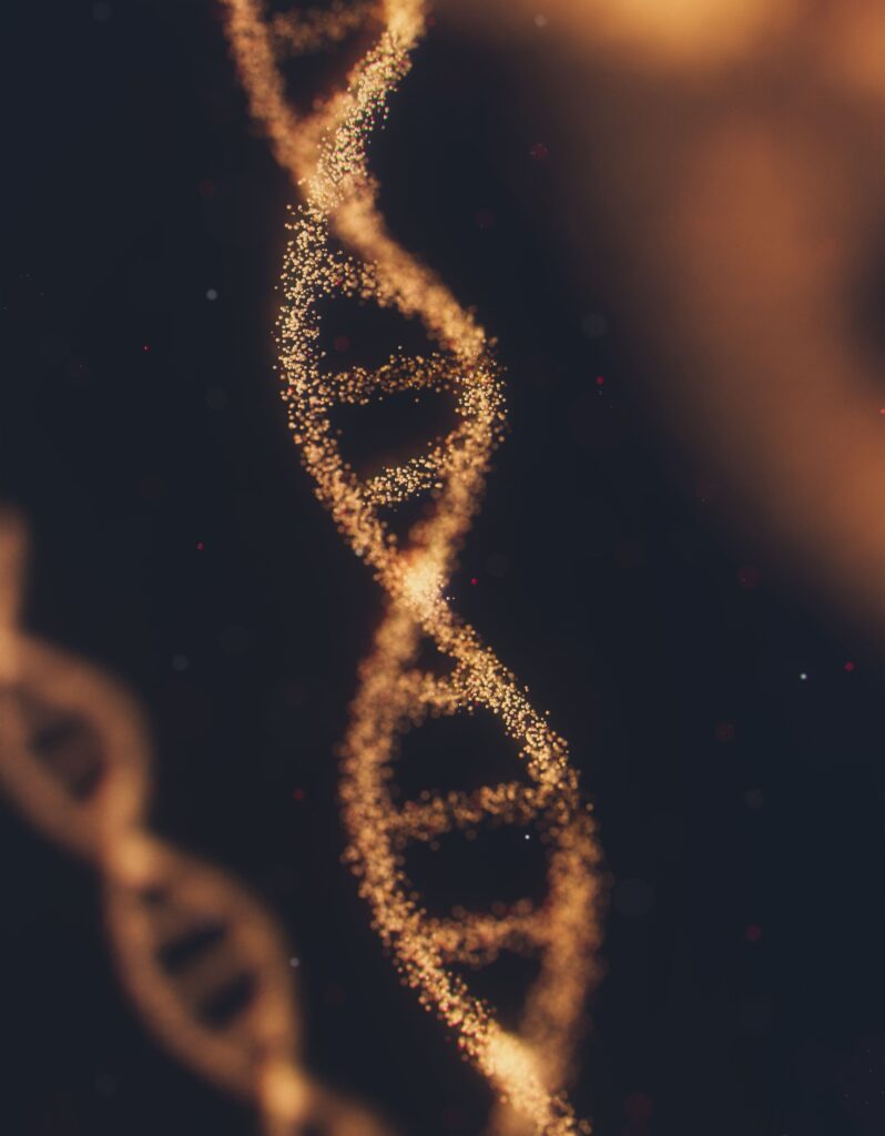 DNA的端粒，隱藏著衰老的秘密